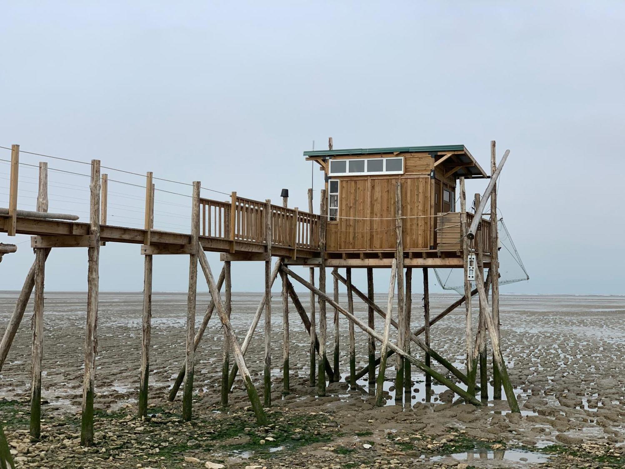 Les Studios Du Chemins Vert La Rochelle  Bagian luar foto
